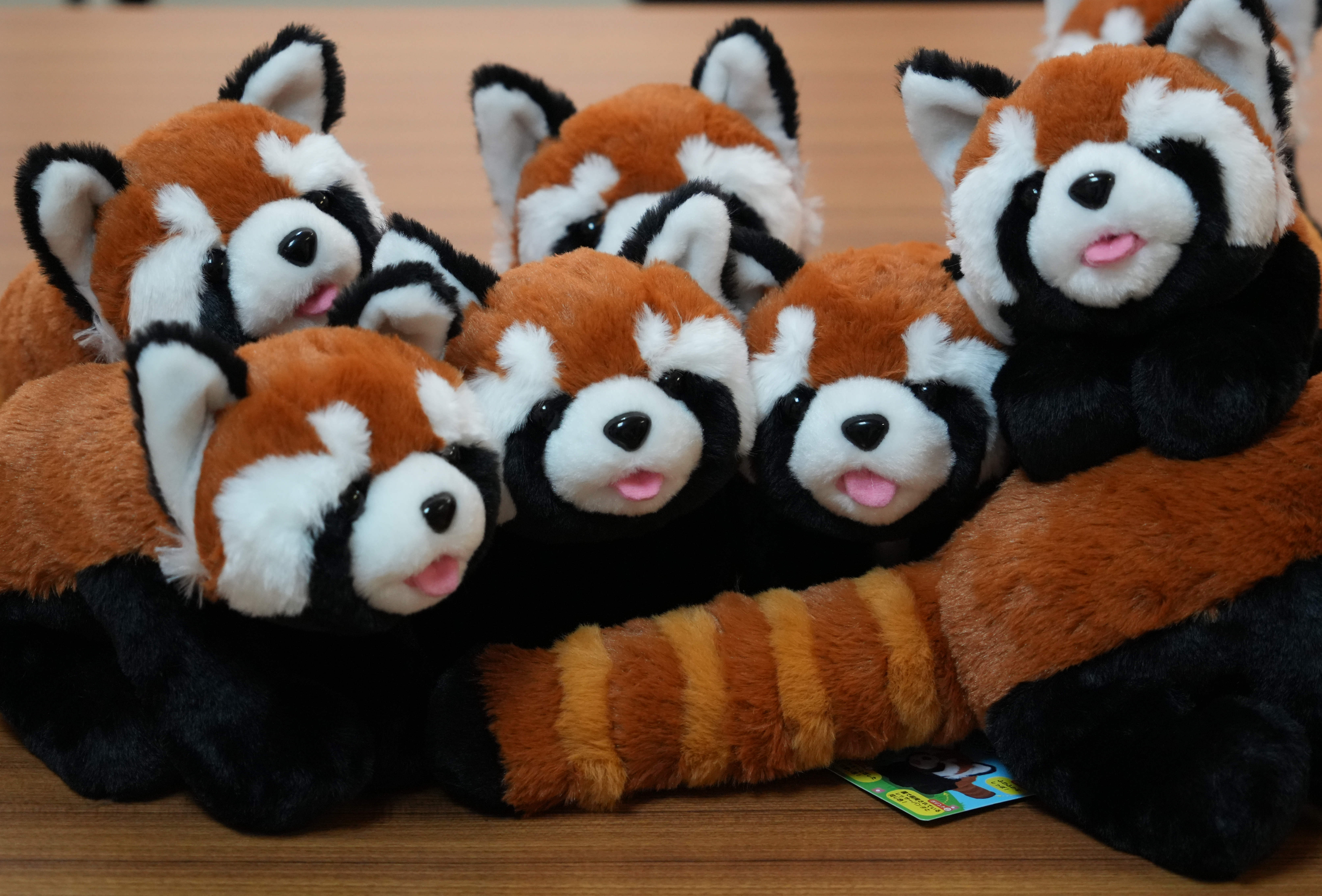 写真：ぬいぐるみの画像2