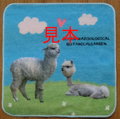 ハンドタオルの写真5