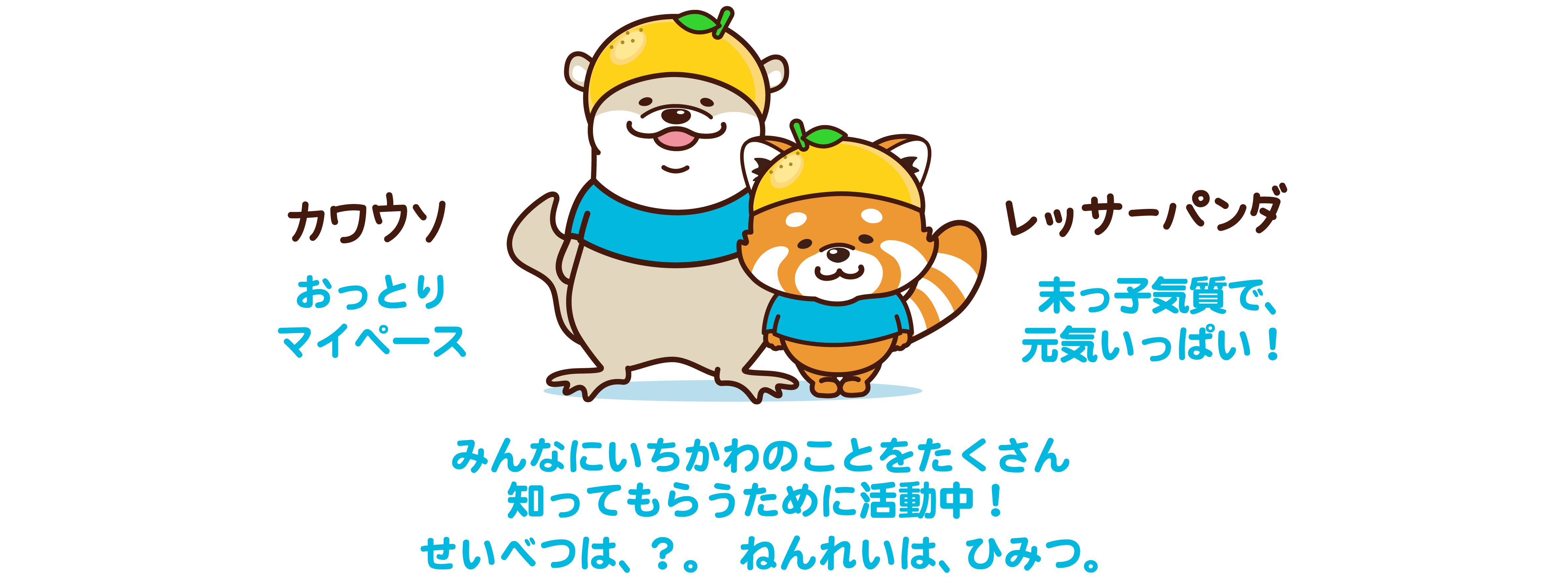 プロフィールの画像