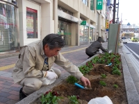 本八幡駅北口花壇の画像