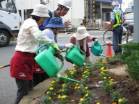 鬼越駅前花壇の画像