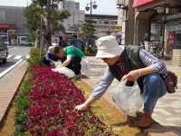 市川駅北口花壇の画像
