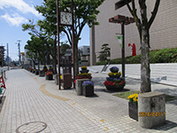 文化会館前花壇の画像