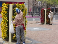 妙典駅南口花壇の画像