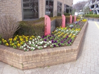 中央図書館花壇の画像