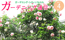 ガーデニング通信創刊号の画像
