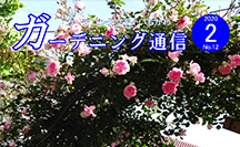 ガーデニング通信第12号の画像