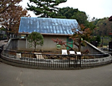 大放飼場ですの画像