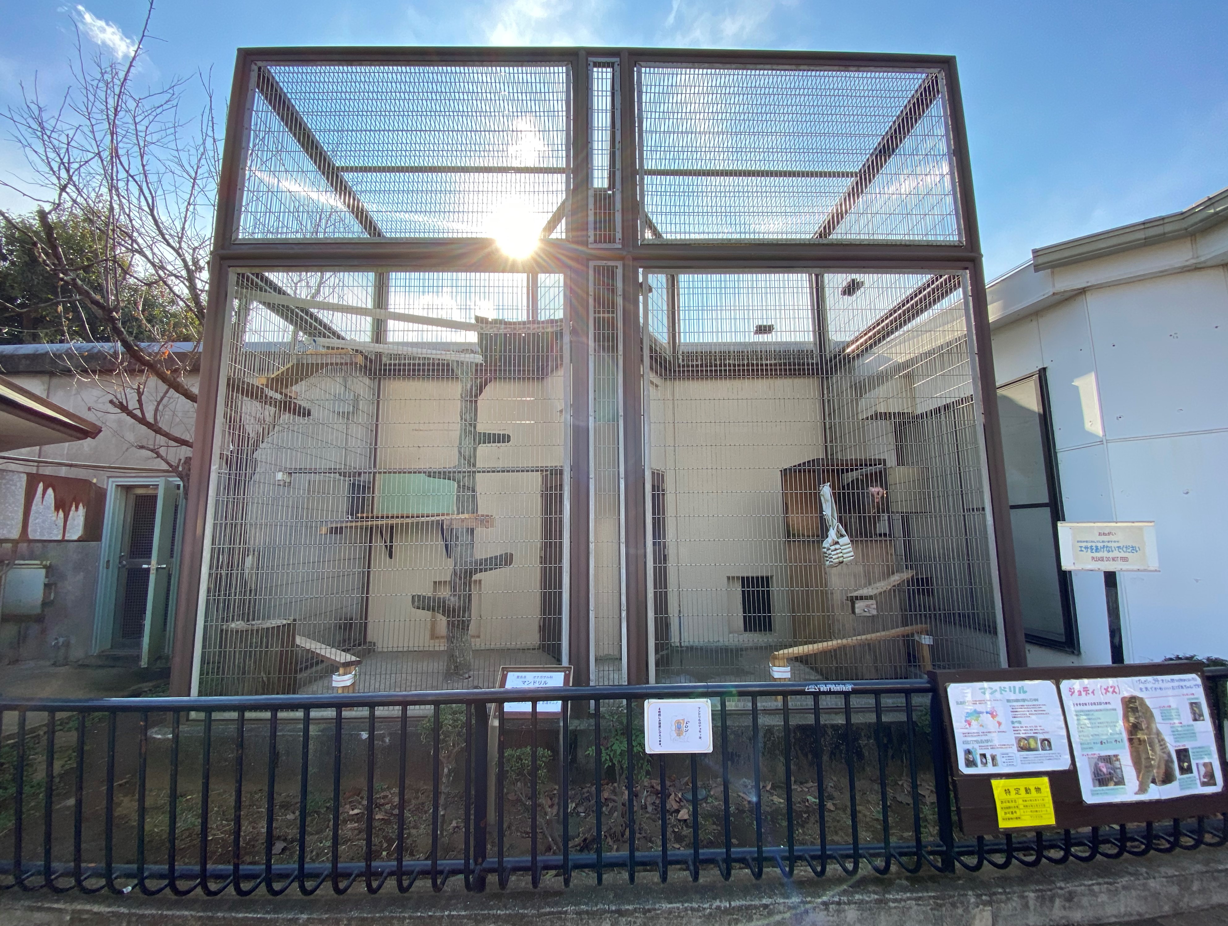 画像:広く改修されたマンドリルの放飼場の写真