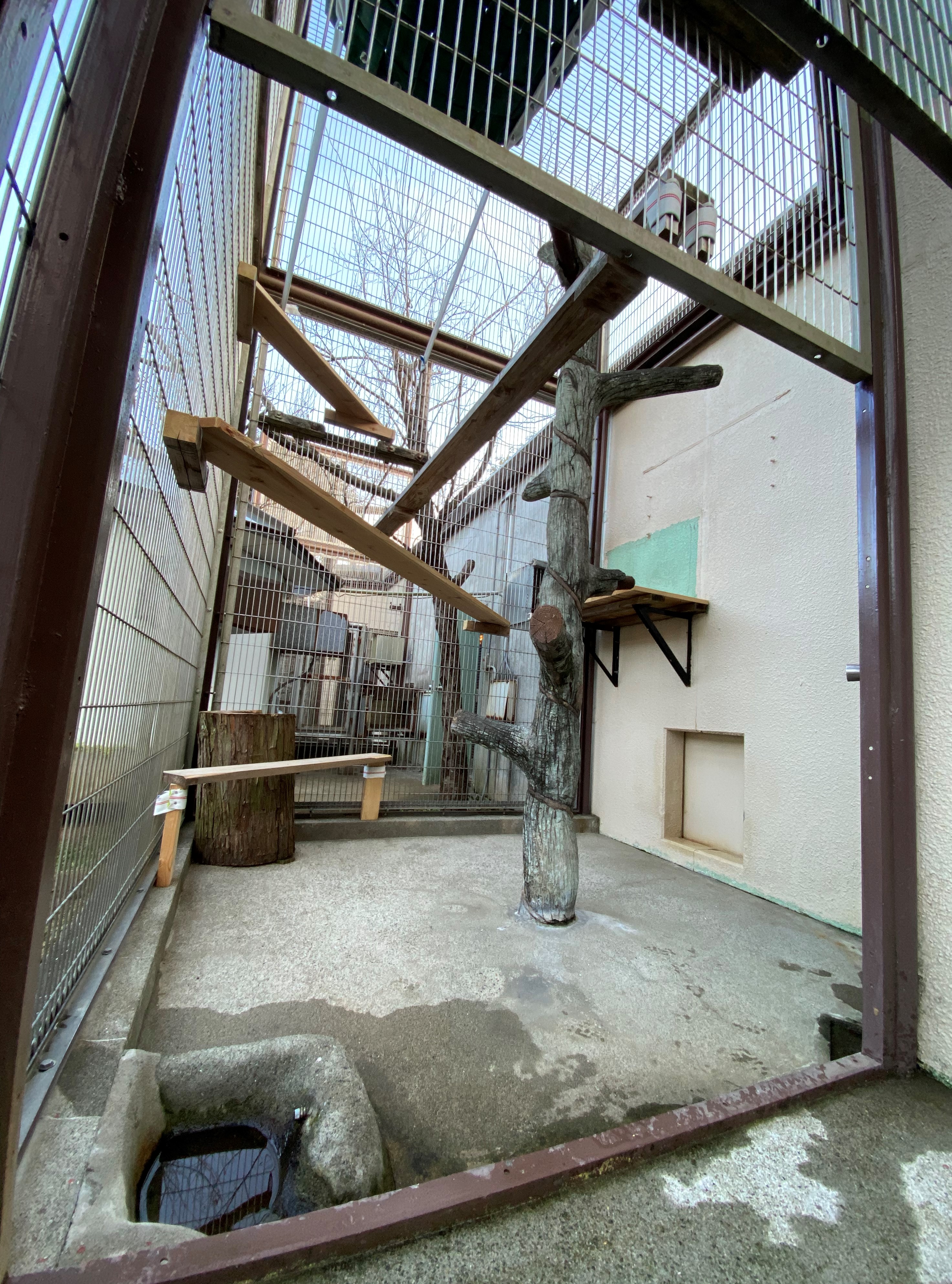 画像:新しい放飼場エリアの写真