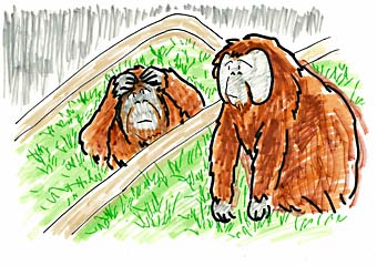 8年ぶりの再同居の画像