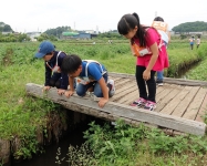 チャレンジャースクール活動風景の画像1