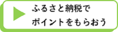 ふるさと納税でポイントをもらおう