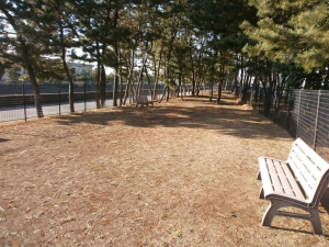 塩浜ドッグラン写真1