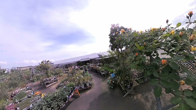 アイキャンガーデンの画像4