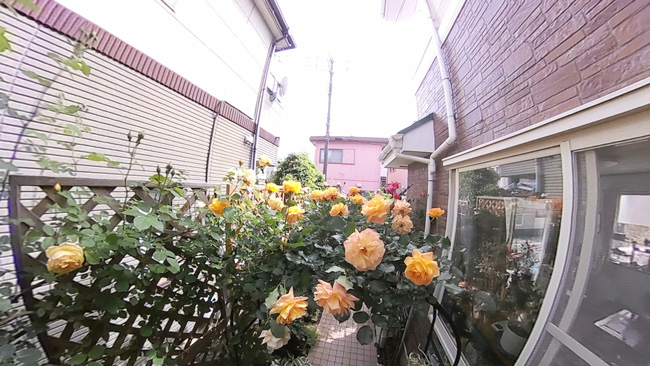 三中西宅の画像2