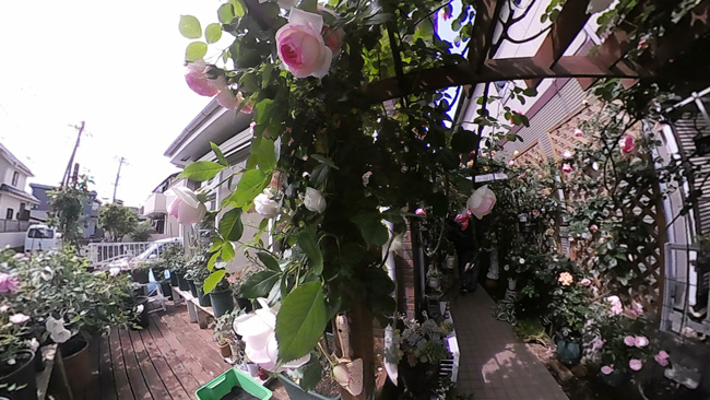 三中西宅の画像4