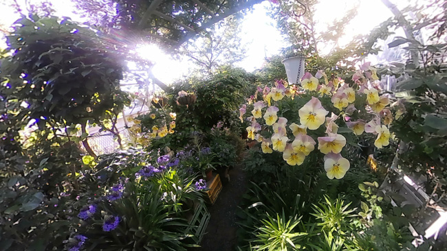 風間宅の画像10