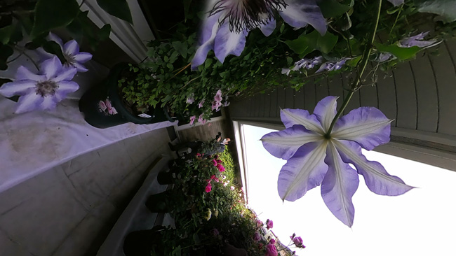 風間宅の画像11