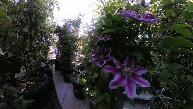 風間宅の画像12