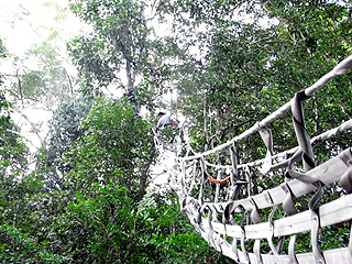 橋の製作、設置作業の画像