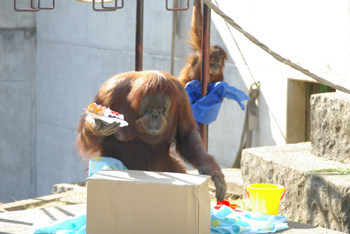 まずはお母さんが確認？の画像