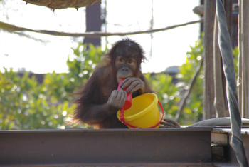 これからも　よろしくね！の画像