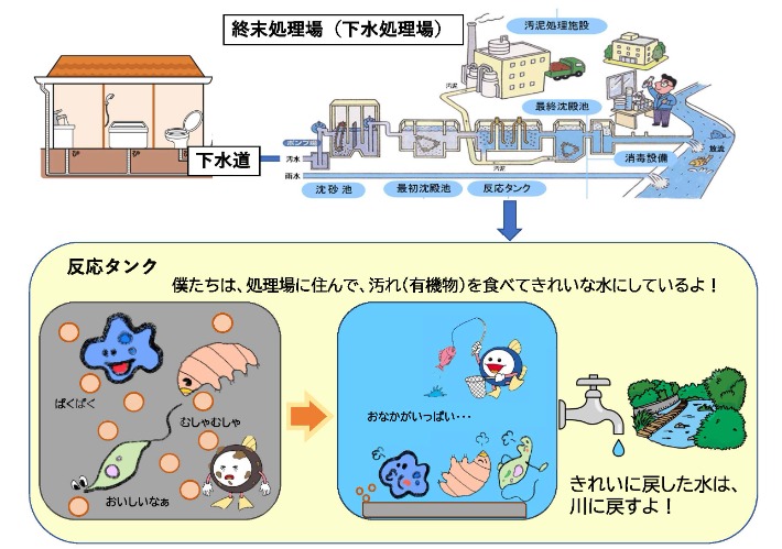 微生物による下水の処理の画像