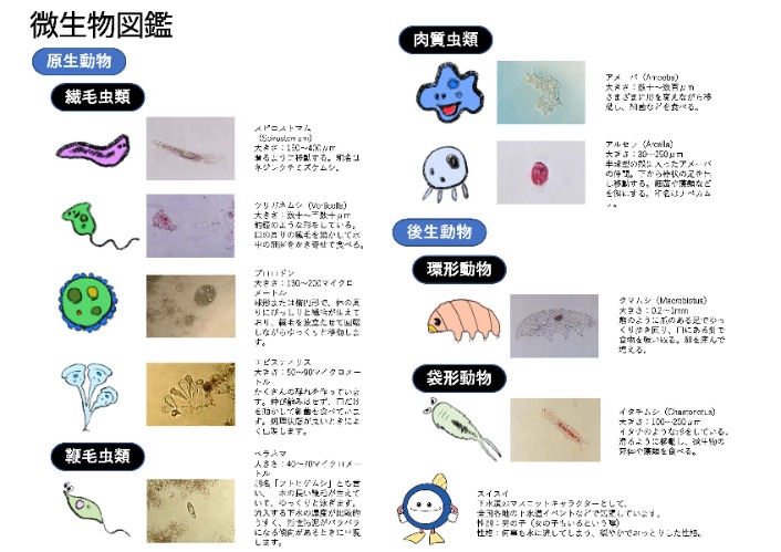 微生物の画像