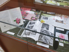 写真：ガラスケース　バラの香りがするまち　いちかわ