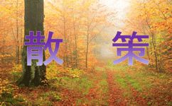 特集ポスター 散策