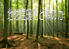 特集ポスター 地球温暖化と森の力