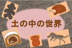 特集ポスター 土の中の世界