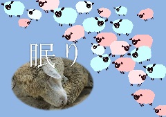 特集ポスター 眠り