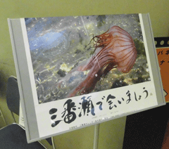 展示　三番瀬で会いましょう