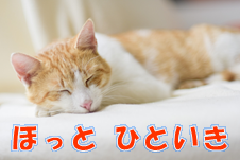 特集ポスター ほっとひといき