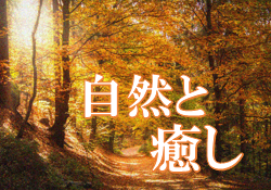 特集ポスター 自然と癒し 特集ポスター 自然と癒し