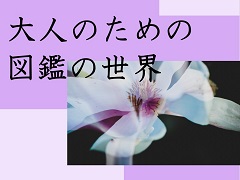 特集ポスター　大人のための図鑑の世界
