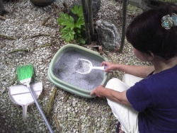 写真：ふん尿の処理