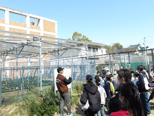 見学の様子の画像