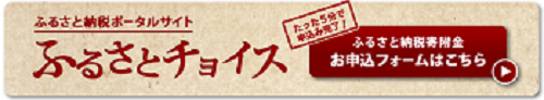 ふるさとチョイスから市川市に寄附