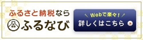 ふるなびから市川市に寄附