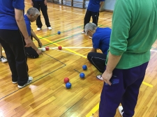 ボッチャを楽しむ様子の画像