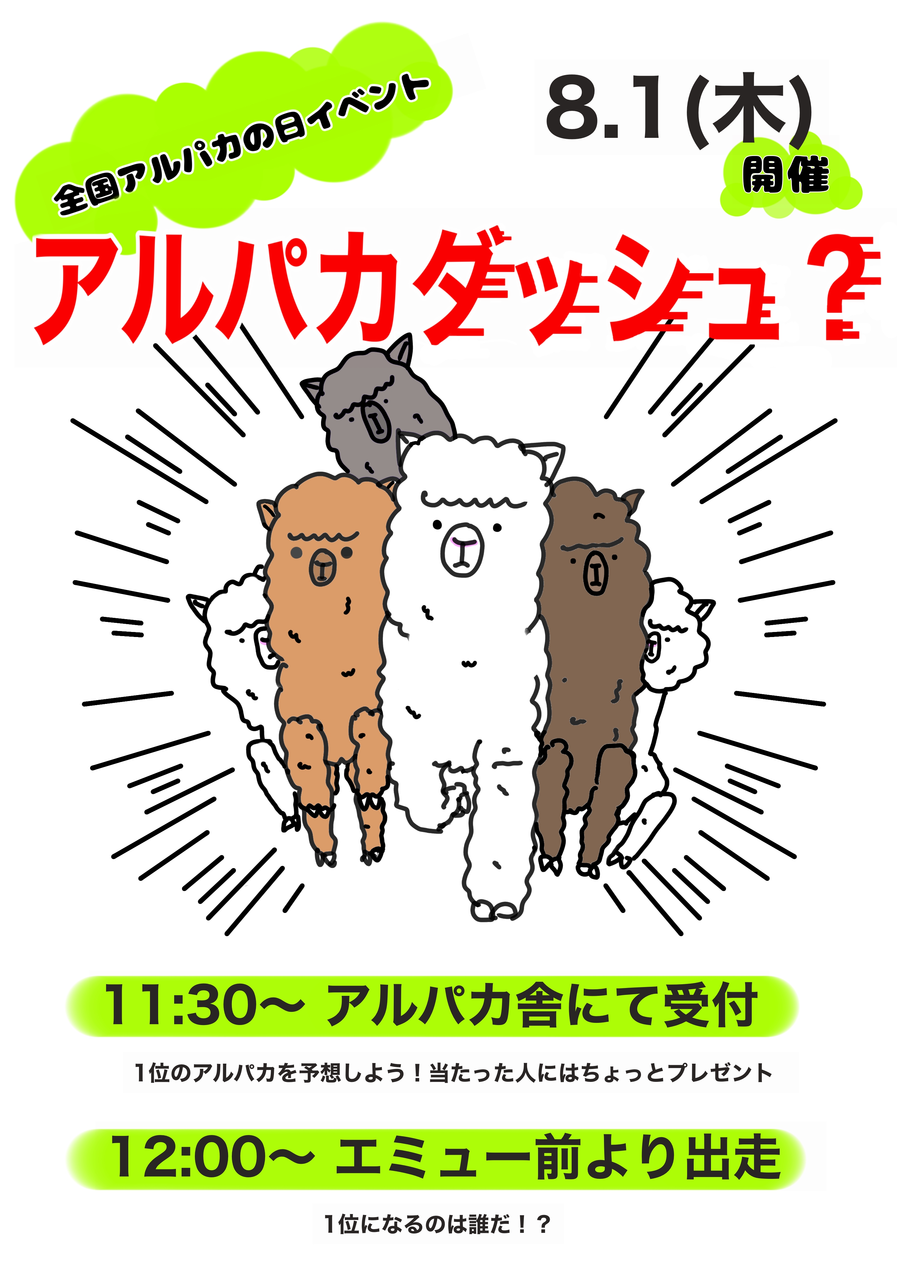 画像：アルパカダッシュポスターイラスト