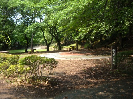 里見公園お花見広場の画像