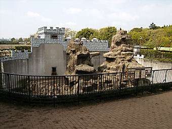 写真：サル山全景