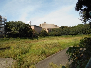 大野調整池の画像