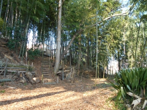 前畑緑地の画像