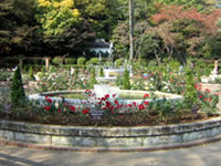 里見公園の画像