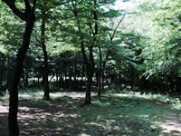 小塚山公園の画像